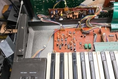 Repair Casio CZ-1 Vintage Synthesizer Reparatur Service