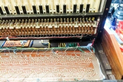 Repair Hohner (Logan) String Melody Reparatur Service