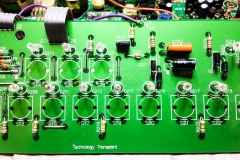 Repair Roland TB-303 Vintage Analog Synthesizer Reparatur Service