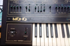 Repair Siel Mono Vintage Analog Synthesizer Reparatur