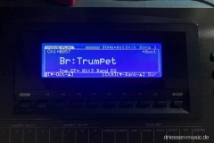 Yamaha W7 Synthesizer Display Reparatur Service