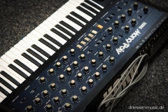 Korg MonoPoly Synthesizer Reparatur Service Driessen Music