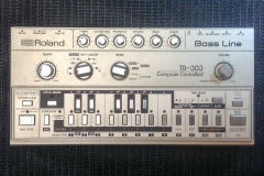 Roland TB-303 Synthesizer Reparatur Service Driessen Music