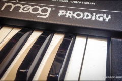 Moog Prodigy Synthesizer Reparatur Service Driessen Music