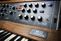 Minimoog Synthesizer Reparatur Service Driessen Music
