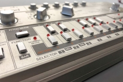 Roland TB-303 Synthesizer Reparatur Service Driessen Music