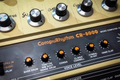 Roland CR 8000 Drum Computer Reparatur Service Driessen Music