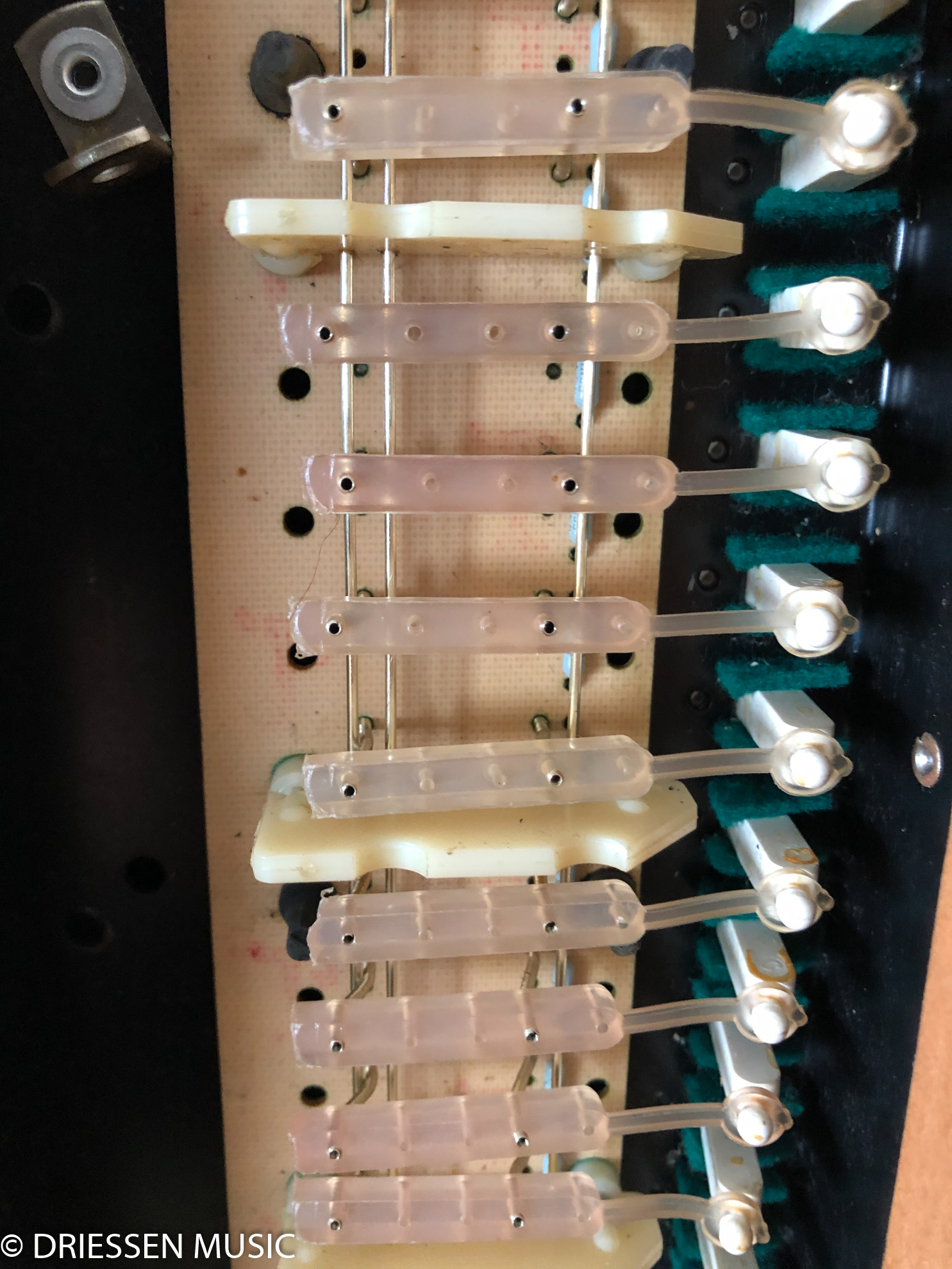 Gereinigte Busbar-Kontakte eines Minimoog Model D nach der Überholung der Tastatur